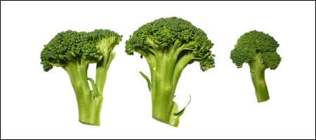 브로콜리 세 조각