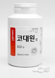 코대원정