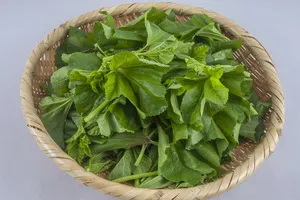 이석증에-좋은-음식