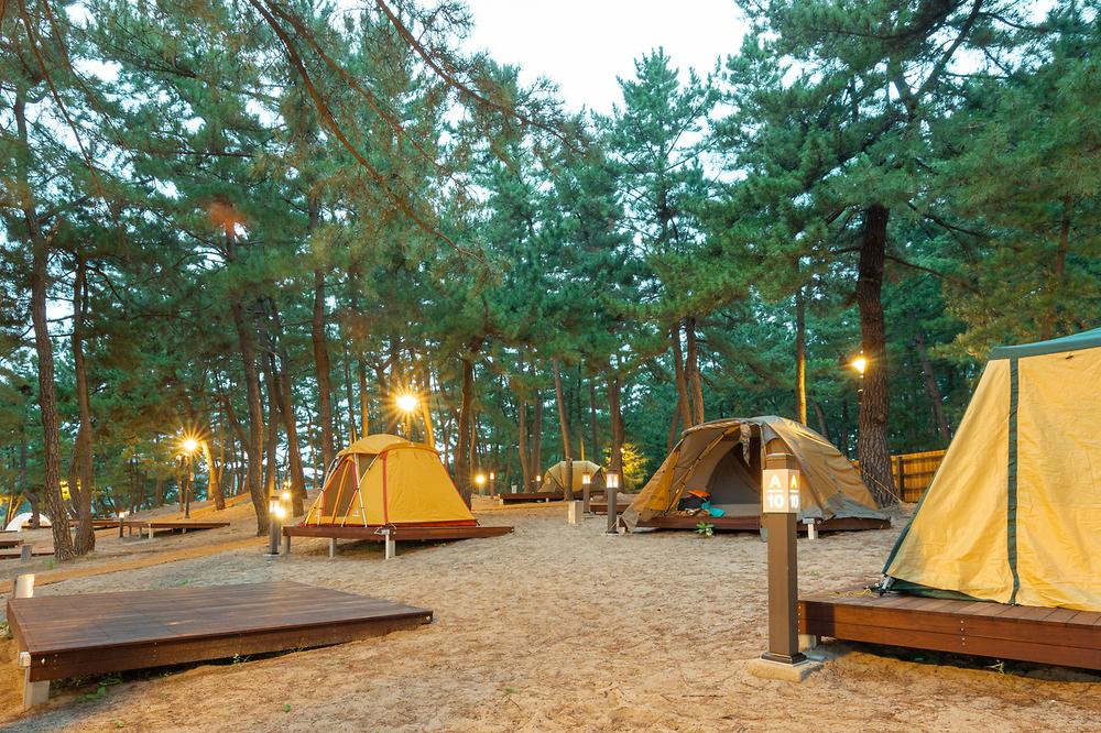 강원도 삼척 맹방비치캠핑장 소개