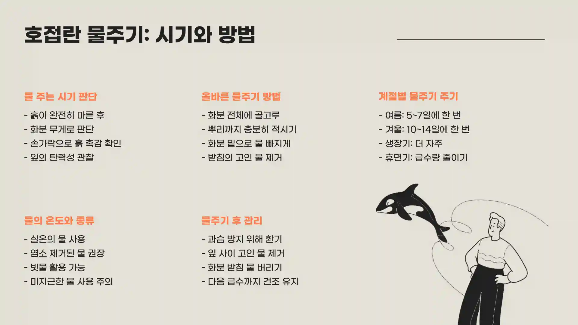 호접란 키우는 법 물주는 방법
