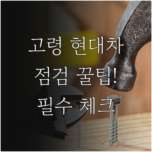 고령군 현대차 서비스네트워크 이용 방..