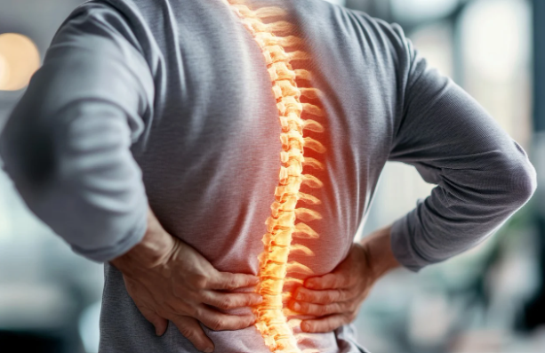 허리 디스크와 척추 건강 관리: 올바른 자세와 근력 강화 운동법