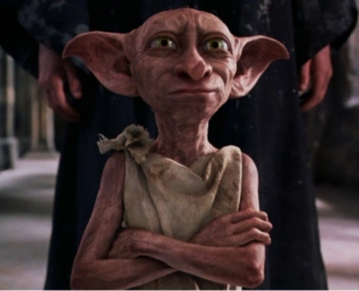 도비가-자유를-얻는-장면