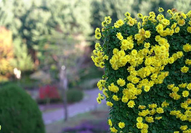 용인농촌테마파크