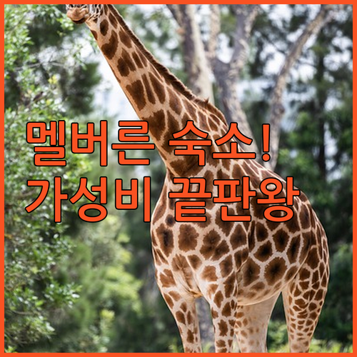 멜버른 숙소 추천 TOP 5 위치 장..