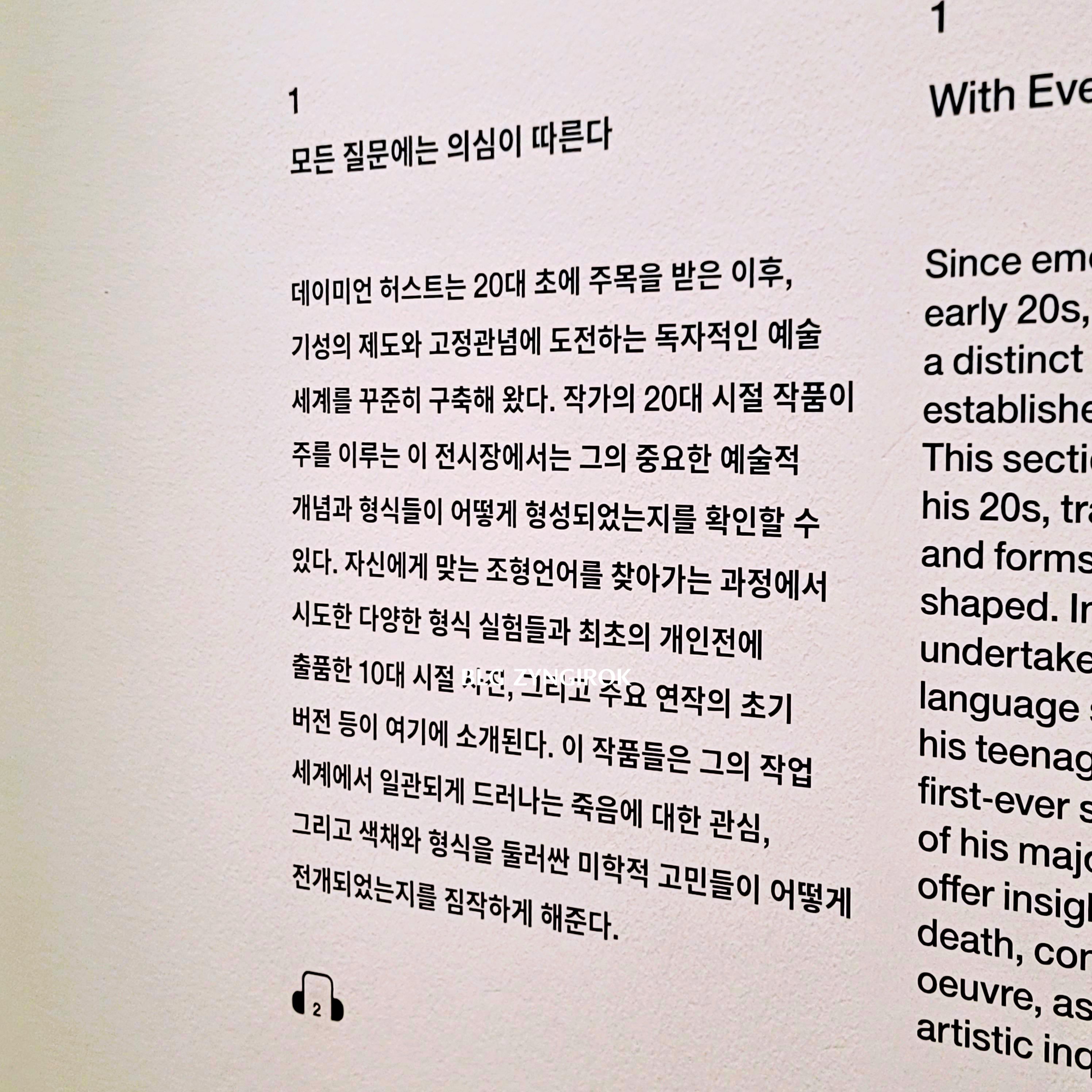 국립현대미술관 : 데이미안 허스트 - 모든 질문에는 의심이 따른다