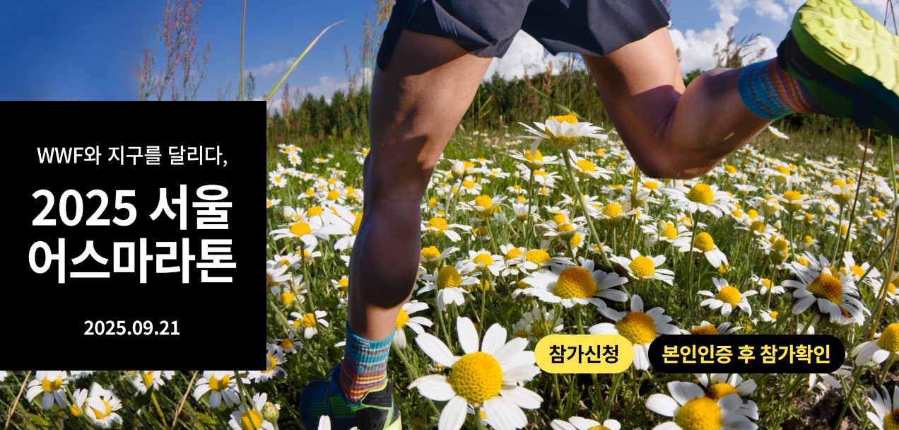 2025 서울 어스마라톤 일정·코스·접수방법 총정리 (친환경 마라톤 대회) 관련 사진