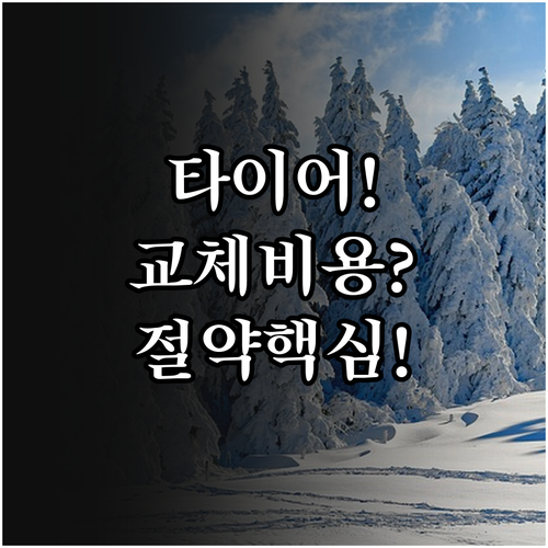 2025년 윈터타이어 교체 적정 시기..