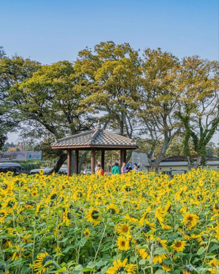 항파두리