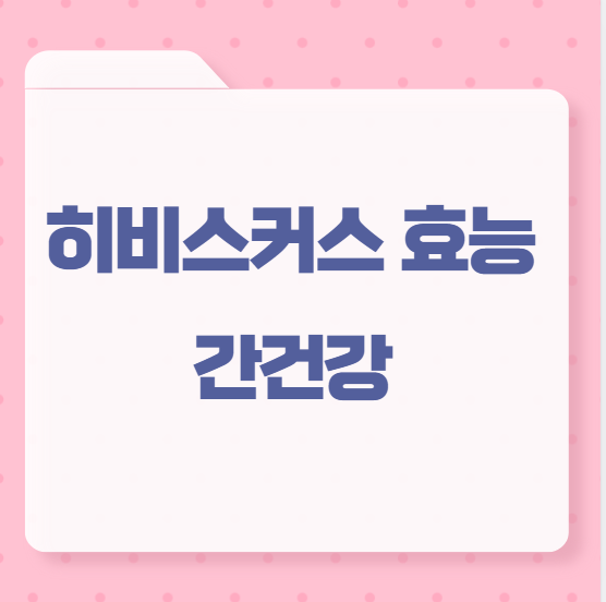 히비스커스 효능 간건강