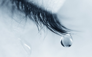 예술적인 눈물의 한 장면