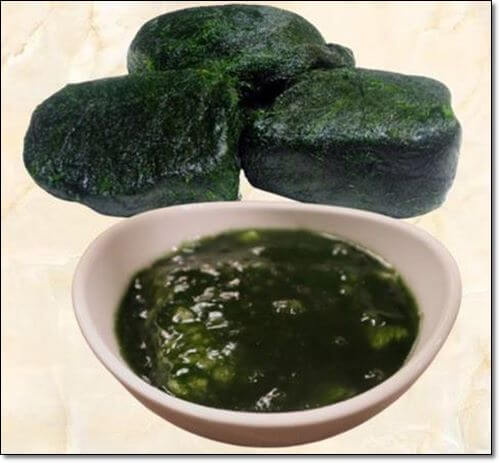 굴 음식과 보관법