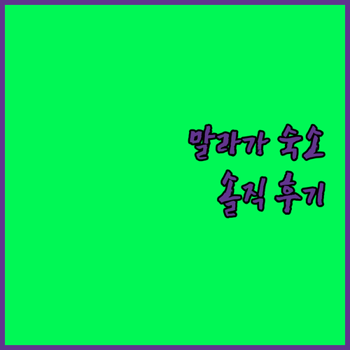 말라가 여행객 필독 이지호텔 퓨투로텔