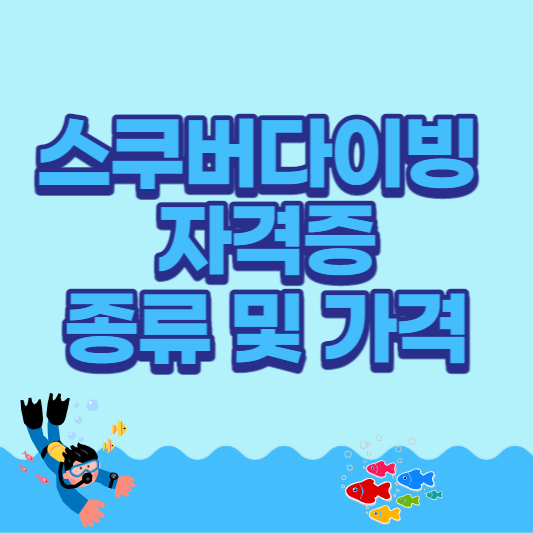 스쿠버다이빙 자격증 종류 및 가격 썸네일