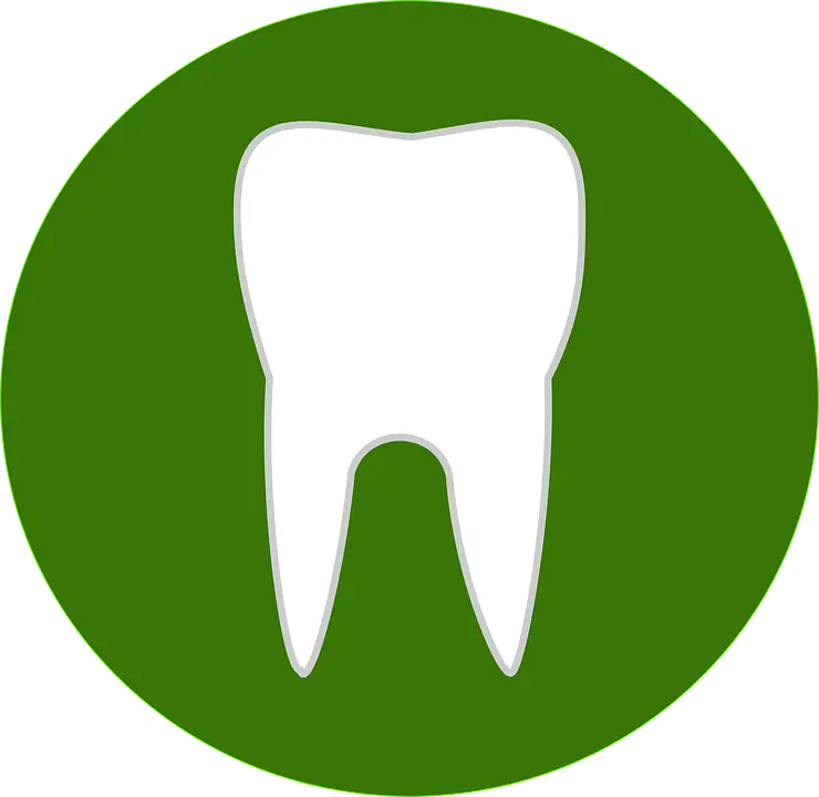 치아보험 가입 전 체크리스트|놓치면 후회하는 핵심 7가지