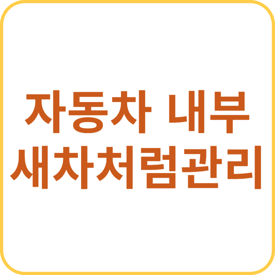 자동차 내부 청소 팁 : 새 차처럼 관리