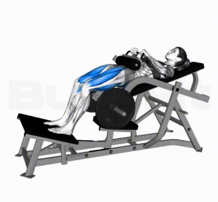 헬스기구 : 엉덩이 근육 운동기구 추천