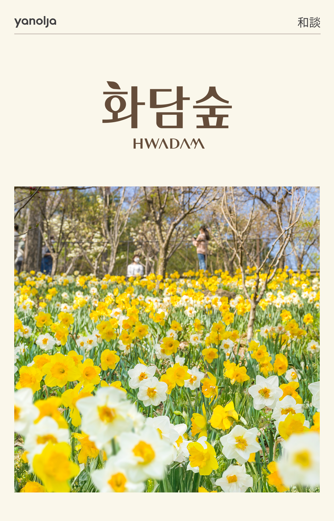 화담숲 관련 사진