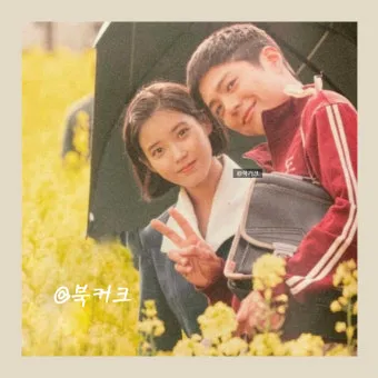 폭삭 속았수다 뜻과 실제 사용 예시_12