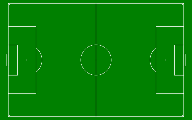 2022월드컵한국가나분석