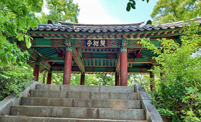 쌍수정 사진