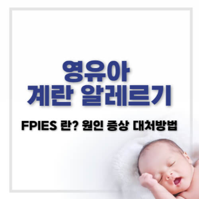 FPIES 달걀 알레르기
영유아 식품 알레르기
비 IgE 매개 알레르기
FPIES 증상과 해결법
달걀 알레르기 구토
식품 단백질 유발 장염 증후군
이유식 알레르기
아이 구토 원인
달걀 알레르기 대처법
영유아 알레르기 질환