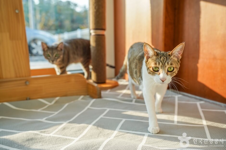 경산 가볼만한곳 베스트 10