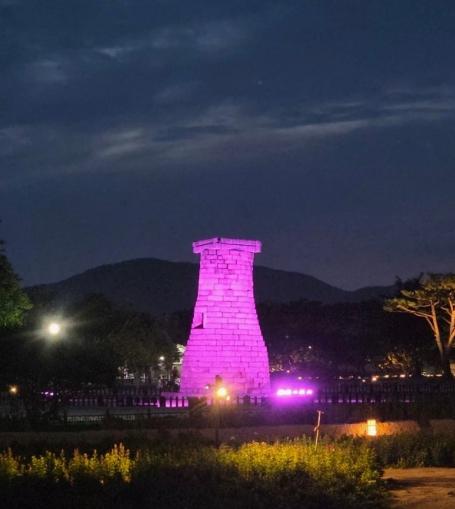 2025 APEC 정상회의 일정 관련 이미지