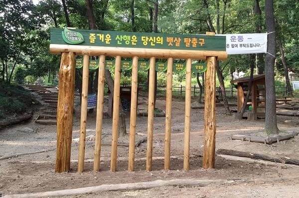 나이와 뱃살