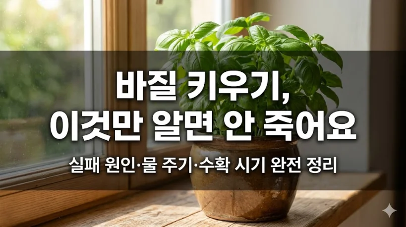 "바질 키우기 물 주기와 수확 시기 정보가 포함된 블로그 포스팅 대표 이미지"