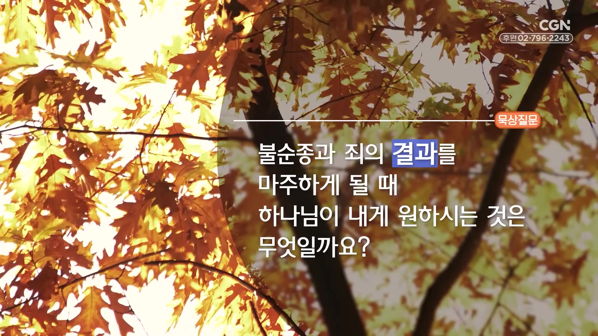 불순종과 죄의 결과를 마주하게 될 때 하나님이 내게 원하시는 것은 무엇일까요?