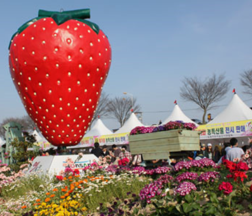 논산 딸기축제