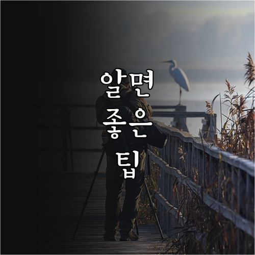 2025 송파구 가정위탁세대를 위한 ..