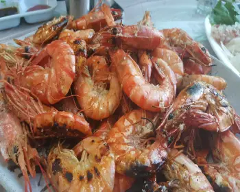 홍성 남당항 대하축제29