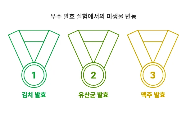 우주 발표 사례