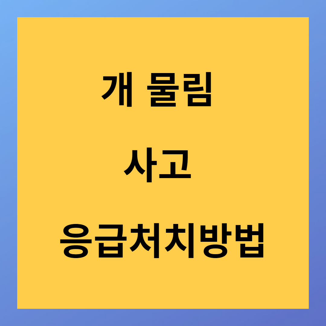 개 물림 사고 응급처치방법