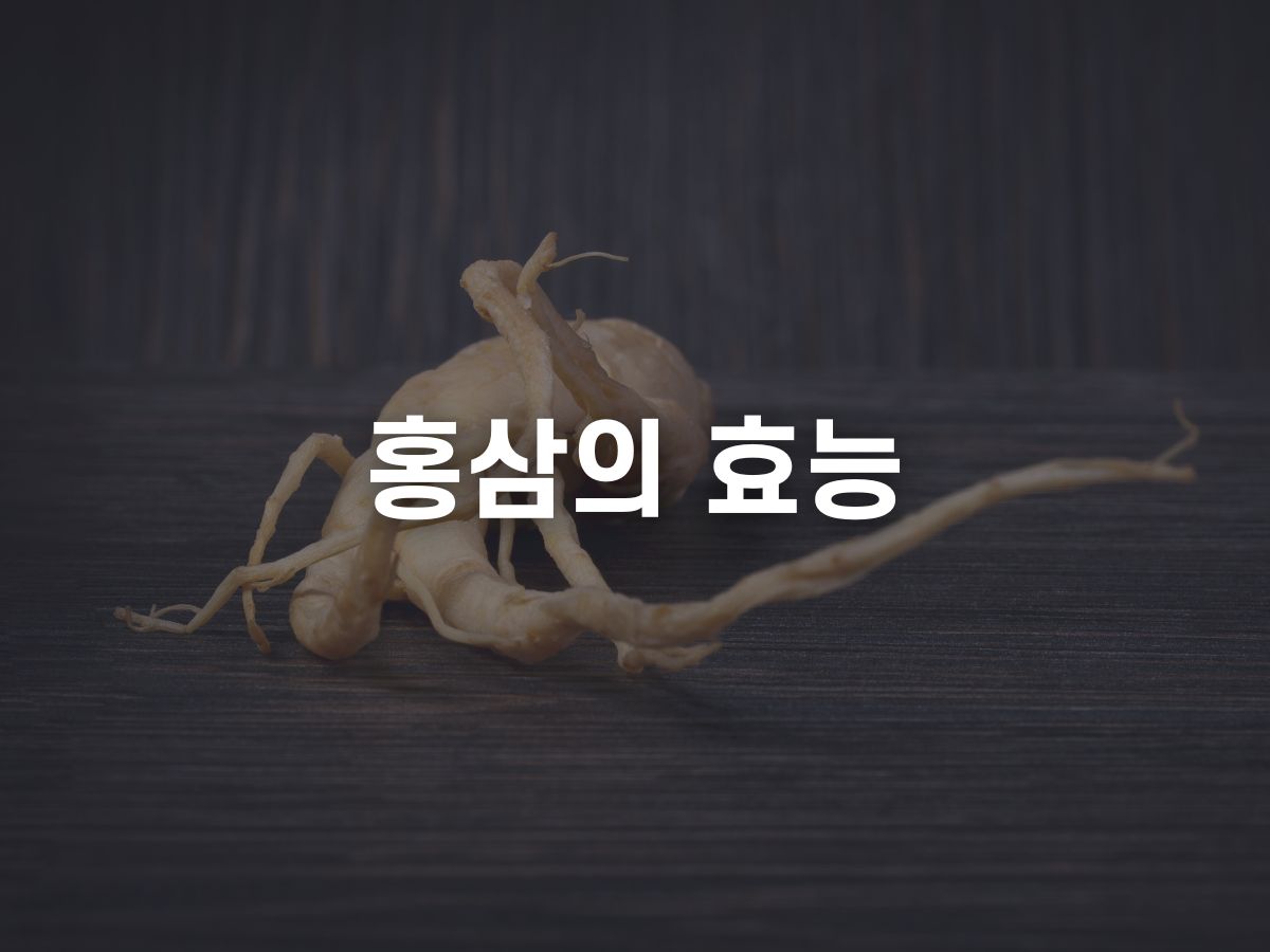 홍삼의 효능