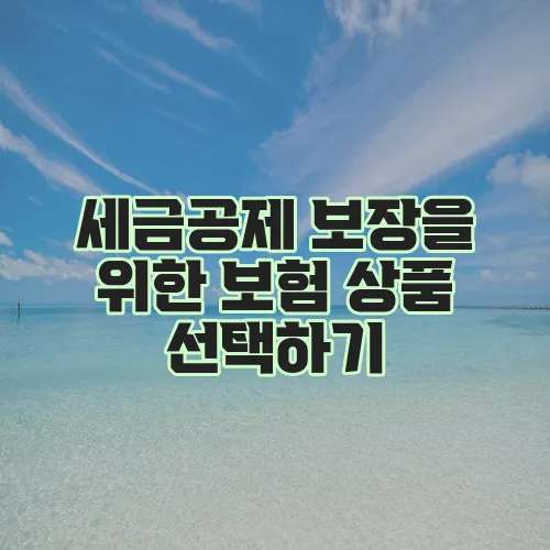 세금공제 보장을 위한 보험 상품 선택하기