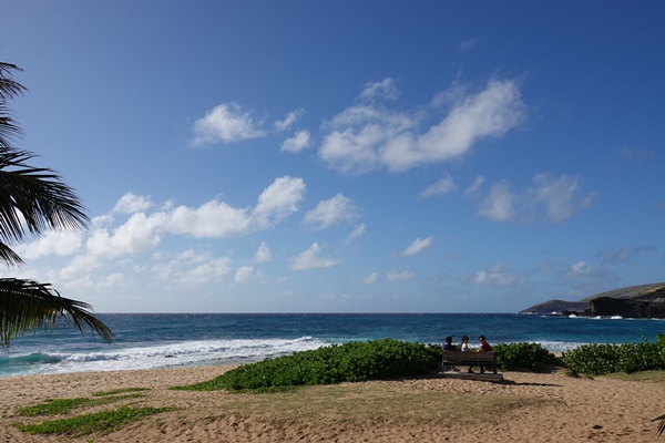 트래블 버블 뜻