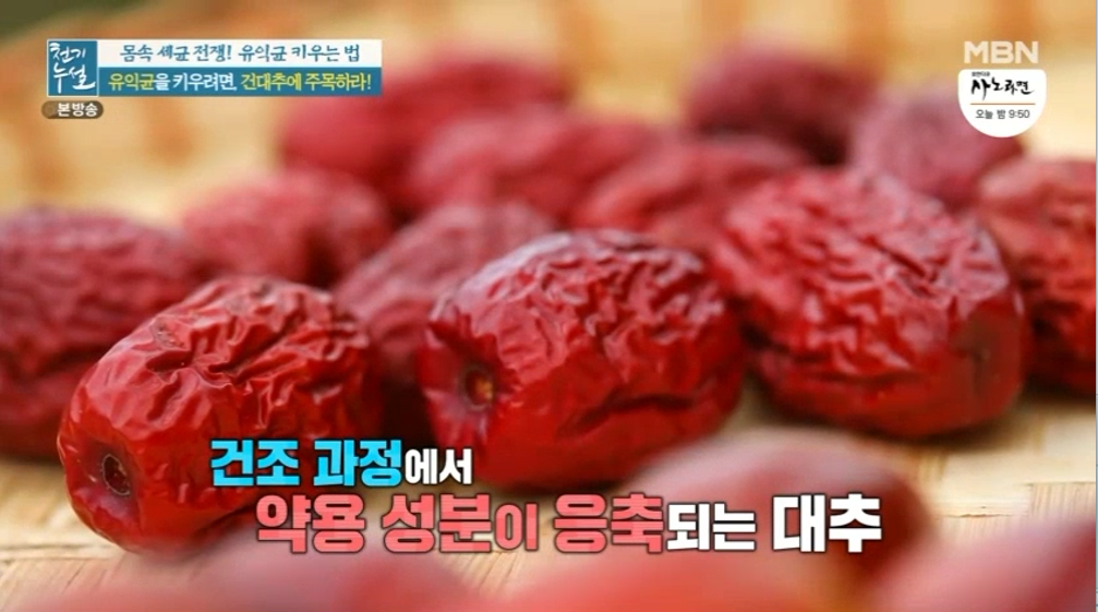 대추 사과대추 효능 대추차 생대추 건대추 고르는법 칼로리 보관법