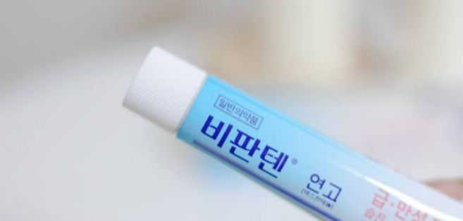 독일의 국민 연고 : 비판텐