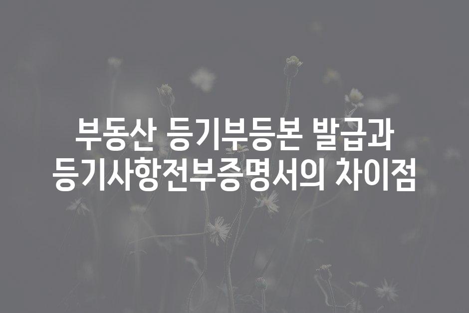 샘플 (46)