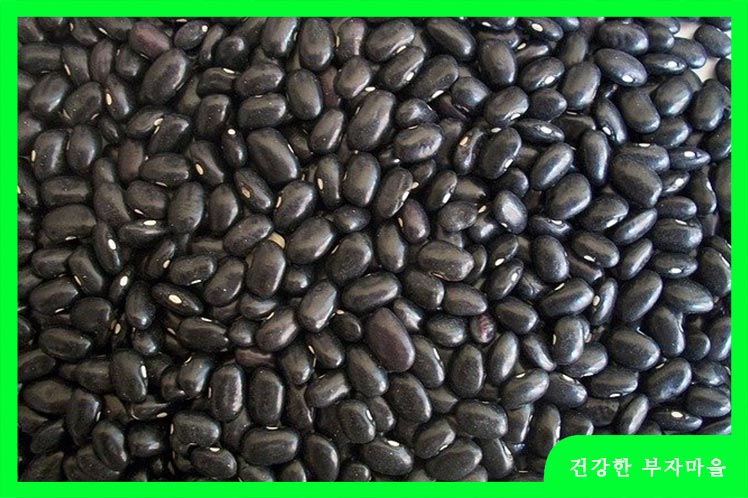 철분 많은 음식 BEST10 - 검정콩