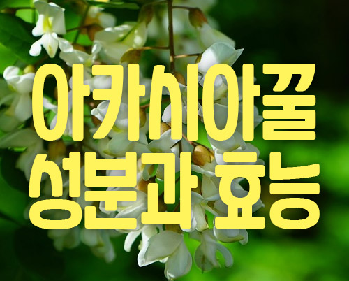아카시아꿀 효능