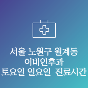 서울 노원구 월계동 이비인후과 주말 토요일 일요일 문여는 병원 진료시간