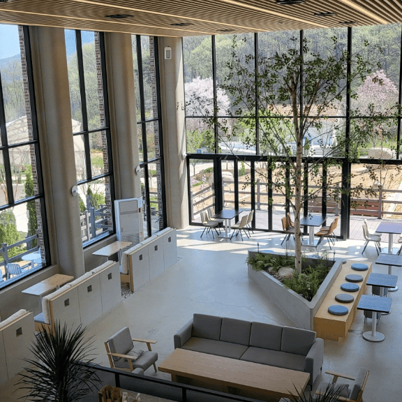 용인 자작나무숲