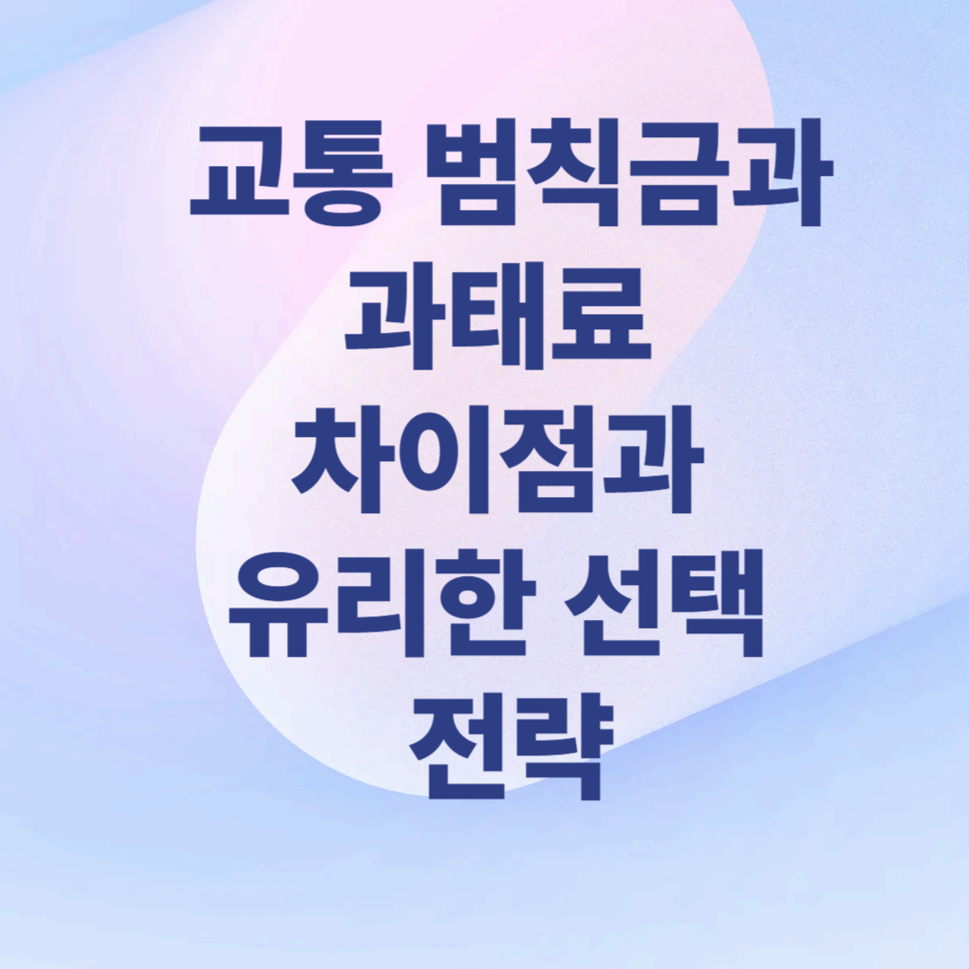 교통 범칙금과 과태료 차이점과 유리한 선택 전략
