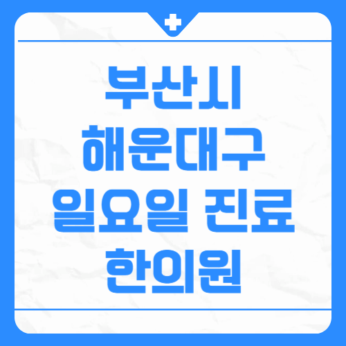 부산시 해운대구 일요일 진료 한의원