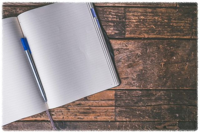 작성 요령 안내